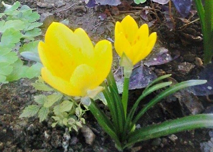 received_10210773672287557